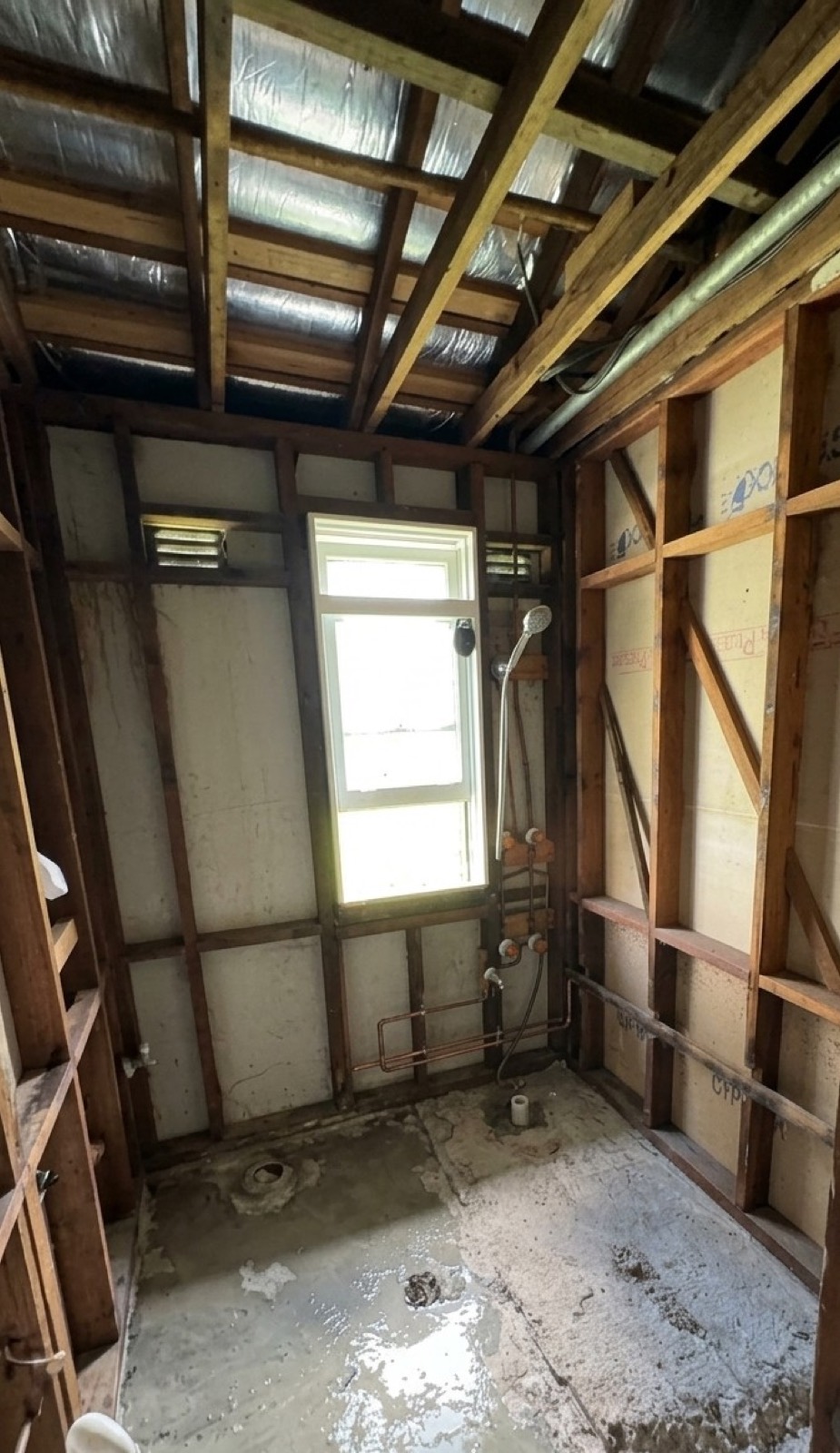 Bathroom stripped back to timber frame, Blacktown